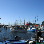 Hafen Burgstaaken mit Fischverkauf direkt vom Kutter (Foto: Otmar Luttmann / pixelio.de)
