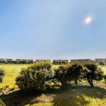 Ausblick auf die große Wiese in der Arne-Jacobsen-Siedlung